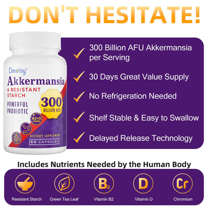 Dmeisy Akkermansia Probiotic - 300 Billion AFU, 60 Count | Gut Health & Immune Support