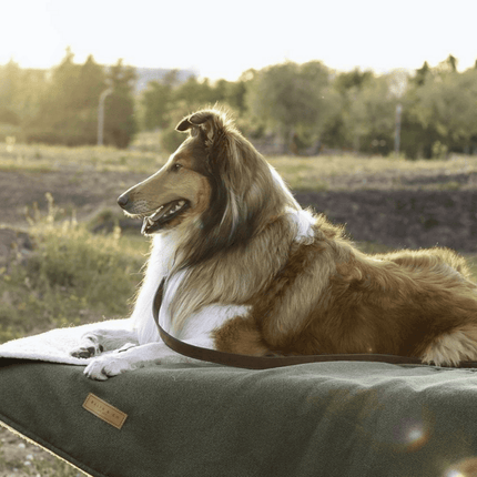 THE RICHMOND | LUXURY GREEN STONEWASHED & SHERPA REVERSIBLE DOG BLANKET