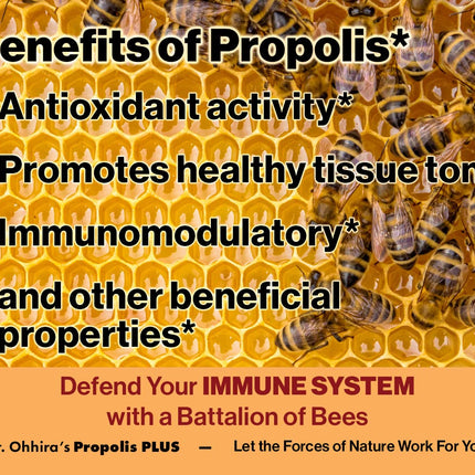 Dr. Ohhira's Propolis Plus 60 Capsules with Brazilian Green Propolis, Probiotic Extract and Astaxanthin