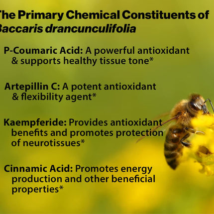 Dr. Ohhira's Propolis Plus 60 Capsules with Brazilian Green Propolis, Probiotic Extract and Astaxanthin