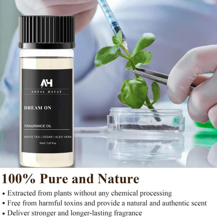 Antal Hayat Dream On 50mL Essential Oil – Westin Hotel Inspired Home Luxury Diffuser Oil