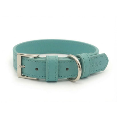 Duck Egg Blue Lignify Dog Collar