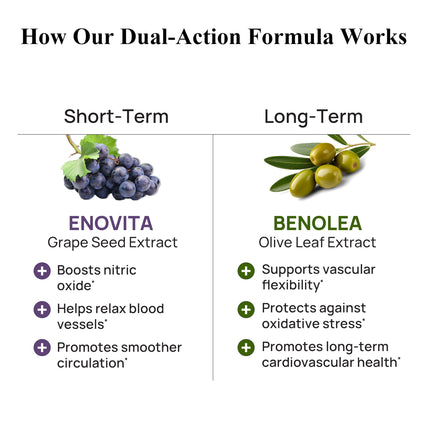 Durable Blood Pressure - Benolea Olive Leaf & Enovita Grape Seed Extract - Doctor Formulated, Vegan, Non-GMO, Made in USA (180 Capsules)