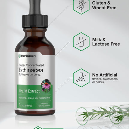 Horbaach Echinacea Drops Tincture - 2 fl oz | Alcohol-Free, Vegetarian, Non-GMO & Gluten Free