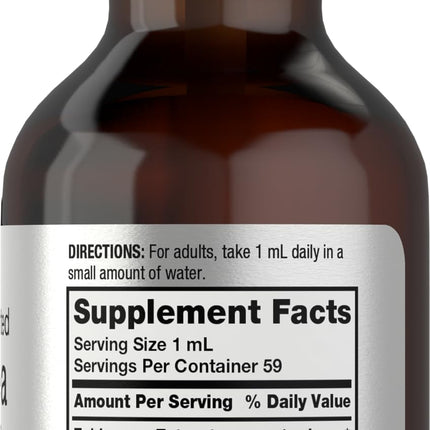 Horbaach Echinacea Drops Tincture - 2 fl oz | Alcohol-Free, Vegetarian, Non-GMO & Gluten Free