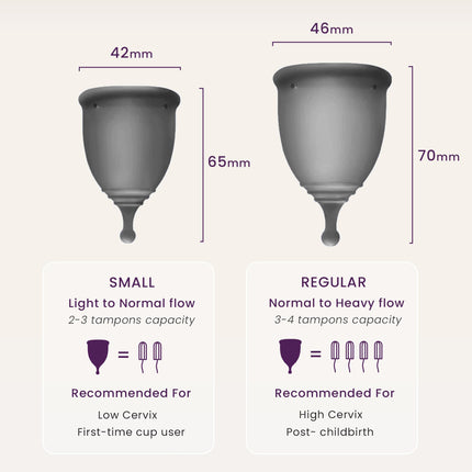 EcoBlossom Reusable Menstrual Cup & Case – Medical-Grade Silicone, 12-Hour Leak-Proof (Large Pack of 2, Gray)