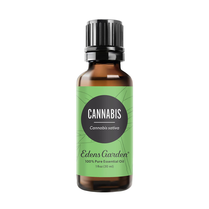 Edens Garden Cannabis Essential Oil – 100% Pure Premium Grade, Undiluted Aromatherapy for Diffusers, Skin, Candles & Humidifiers 30 ml