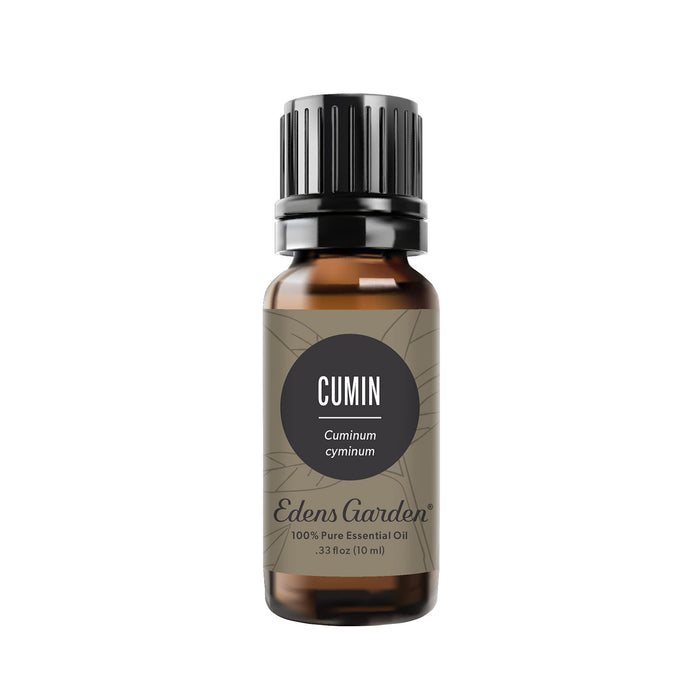 Edens Garden Cumin Essential Oil – 100% Pure, Premium Grade, 10 ml