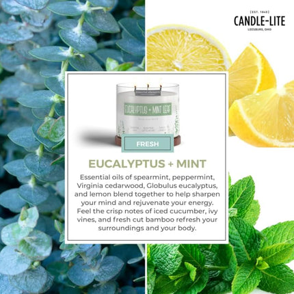 Essential Elements by Candle-lite – Eucalyptus & Mint Leaf Scented Candle, 14.75 oz, 3-Wick, 45 Hr Burn Time, Off-White