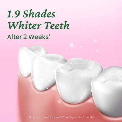 EUTHYMOL Whitening Toothpaste (3x106g) - Stain Removal & Fresh Breath