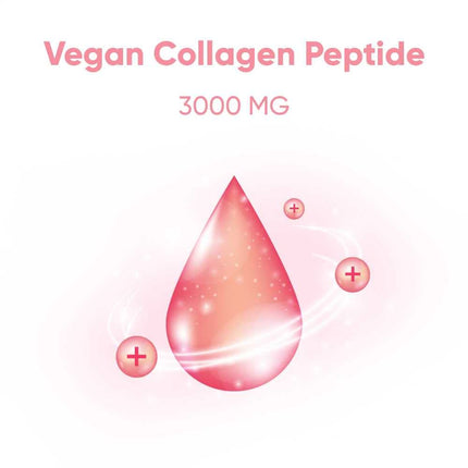 EVERYDAZE Essential Collagen Jelly Stick — 40 Pack (4 x 10ct) | Vegan Collagen Peptide, Pomegranate Flavor