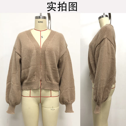 Women's Lantern Sleeve Simple Casual Short Sweater