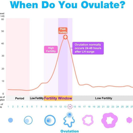 Easy@Home Ovulation Test Predictor Kit - 50 LH Strips + Urine Cups | Accurate Fertility