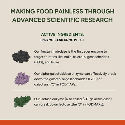 FODZYME Home Kit Digestive Enzymes – 60 Doses for Gut Comfort