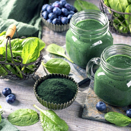 Food to Live Chlorella Powder – 8 Pounds | Kosher, Raw Green Algae, Vegan Superfood