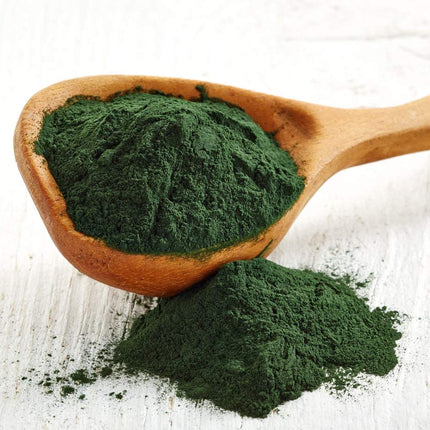 Food to Live Chlorella Powder 4 lbs – Kosher, Raw Vegan Superfood