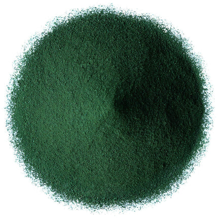 Food to Live Organic Spirulina Powder - 4 lb | Non-GMO, Kosher, Raw