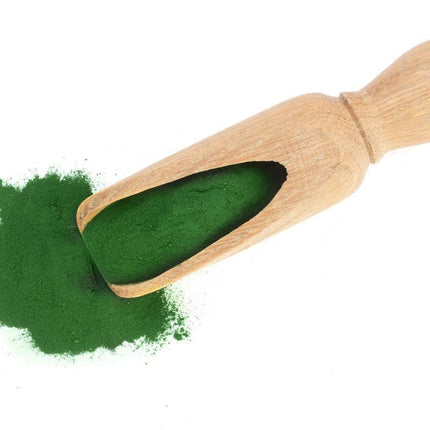 Food to Live Organic Spirulina Powder - 4 lb | Non-GMO, Kosher, Raw