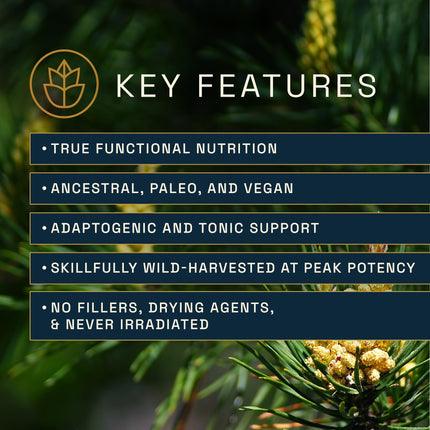 Forest Manna RAW Pine Pollen Powder – Adaptogenic Nutrition | Single Origin, 280g Pouch