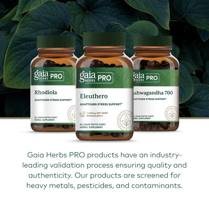 Gaia Herbs PRO Eleuthero - Adaptogen Supplement for Stress & Energy | 60 Vegan Liquid Phyto-Capsules (60 Servings)