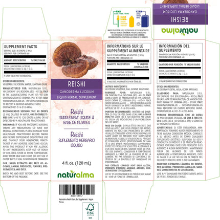 Naturalma Reishi Alcohol-Free Tincture (Ganoderma lucidum) 4 oz – Vegan Liquid Extract