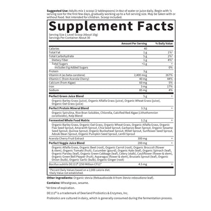 Garden of Life Perfect Food Super Green Formula – 30 Servings, 45 Superfoods
