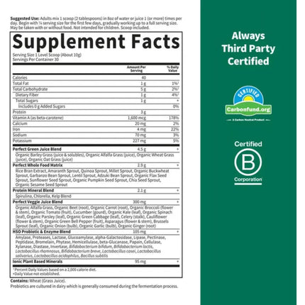 Garden Of Life Perfect Food Powder Super Green - 10.58 oz