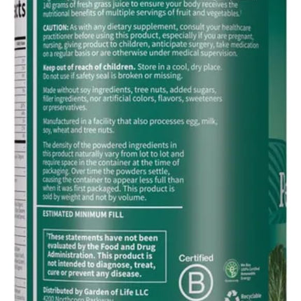 Garden Of Life Perfect Food Powder Super Green - 10.58 oz
