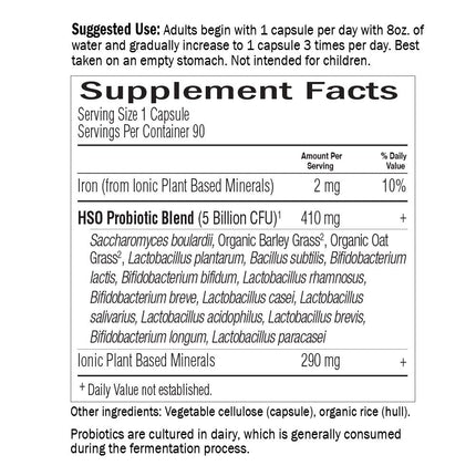 Garden of Life Primal Defense Ultra Probiotics – 15B CFU, 13 Strains, HSOs
