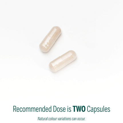 Genestra Ichol Plus Digestive Supplement – 90 Capsules | Genestra Brands
