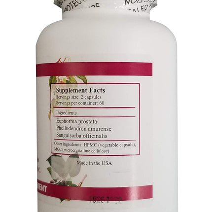 GI Chi 120 Capsules by Chi's Enterprise | Digestive Support