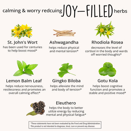 Joy-Filled Mood Support - 7-Herb Complex with St. John's Wort | Plant-Based Stress Relief | 60 Ct