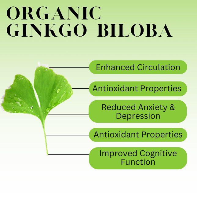 Organic Ginkgo Leaf Tincture - CIRCULATION, COGNITIVE FUNCTION, ANTIOXIDANT