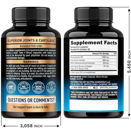 Glucosamine Chondroitin MSM Collagen – Joint Support (240 Caps) | Made in USA