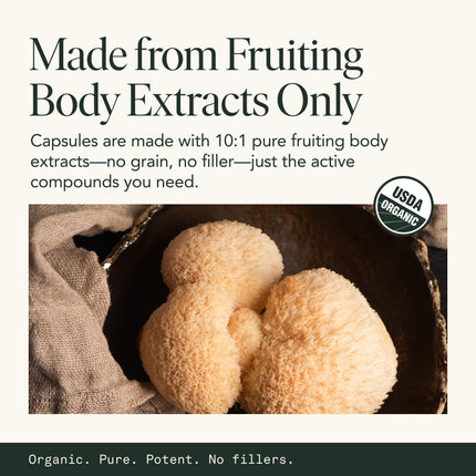 Mushroom Supplement with Lions Mane, Chaga & Cordyceps – USDA Organic, Vegan, 120 Caps (2-Month Supply)