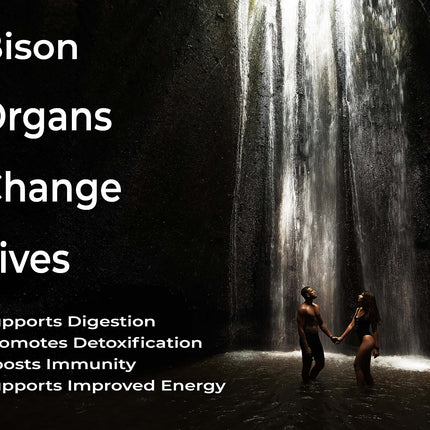 Grass Fed Bison Organ Supplement – Liver, Heart & Kidney | Non-GMO | 180 Capsules