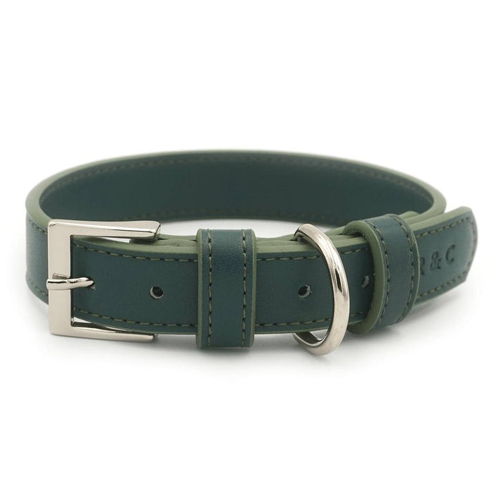 Green Lignify Dog Collar