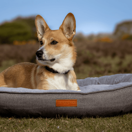 THE BALMORAL | LUXURY HERRINGBONE CALMING DONUT DOG BED