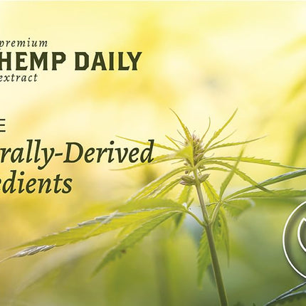 Hemp Daily Active Spray – Organic Hemp Oil with Essential Oils | 2 oz each | 3 Pack | Vegan & Cruelty-Free | THC-Free