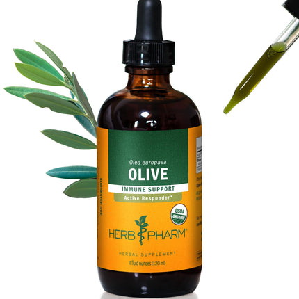 Herb Pharm Certified Organic Olive Leaf Liquid Extract for Immune Support, 4 Fl Oz