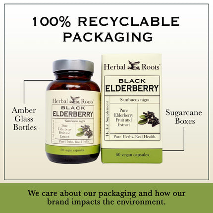 Herbal Roots Organic Black Elderberry Capsules - Max Strength | 60 Vegan Capsules