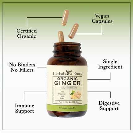Herbal Roots Ginger Supplement | Organic Ginger Root Capsules | 1,200 mg per Serving
