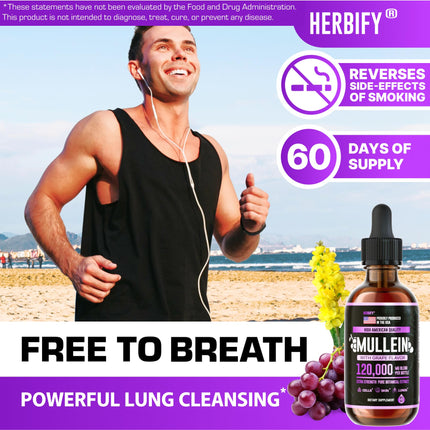 HERBIFY Mullein Drops – Lung Support & Immune Support, Made in USA, 4 Oz Grape Flavor