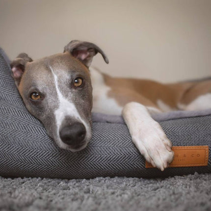 THE BALMORAL | LUXURY HERRINGBONE BOLSTER DOG BED