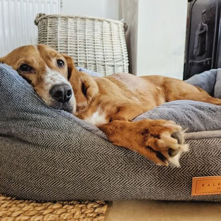 THE BALMORAL | LUXURY HERRINGBONE BOLSTER DOG BED