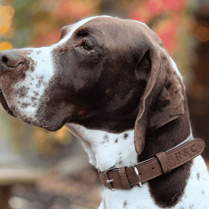 THE LINCOLN | LUXURY TWEED & LEATHER DOG COLLAR