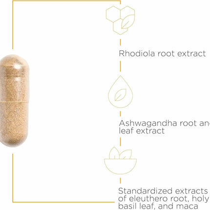 Integrative Therapeutics HPA Adapt – Adaptogenic Stress Support Supplement | Ashwagandha, Rhodiola, Maca | Vegan, Gluten-Free | 240 Capsules