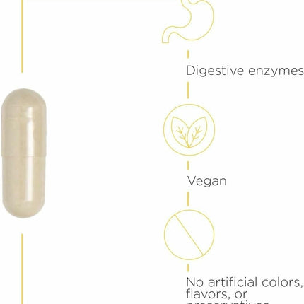 Integrative Therapeutics Similase – Digestive Enzymes for Adults | Dairy-Free & Vegan | 90 Count
