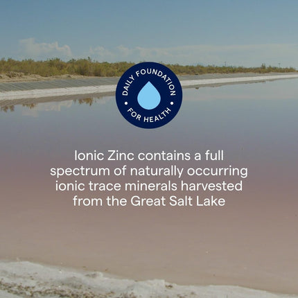 Trace Minerals Ionic Zinc Drops – Highly Absorbable Zinc for Immune, Digestive & Skin Support | 3 Pack (2 oz each)