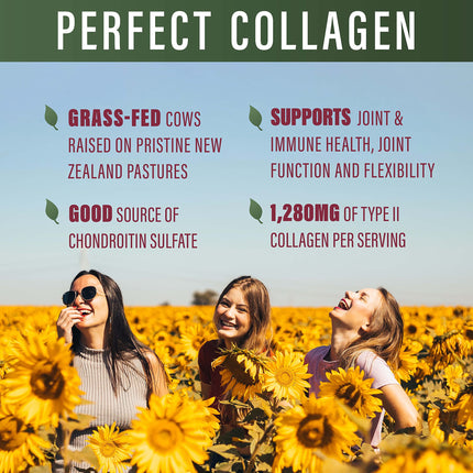 Perfect Type II Collagen – 150 Capsules | Pasture Raised | Joint Support